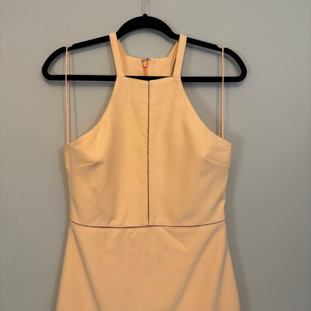 Elizabeth and James Reeves Mini Dress 10 Tangerine Halter Sheath Cocktail NWT - Picture 3 of 11